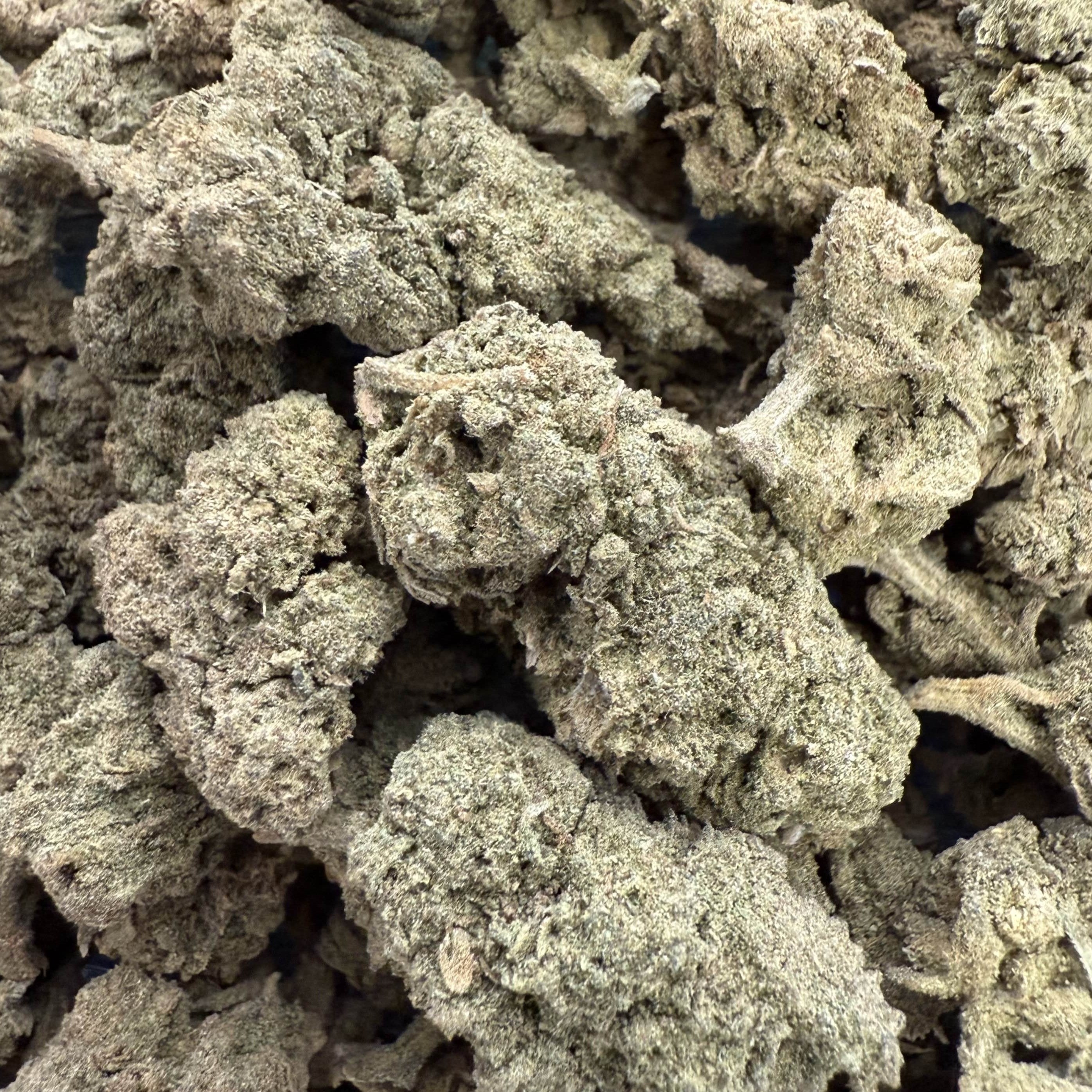 Jack Herer 15% CBD - Sans THC - Indoor - Cdelafrappe