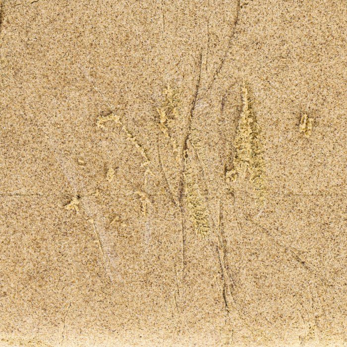 Golden Hash 150 micron CBD