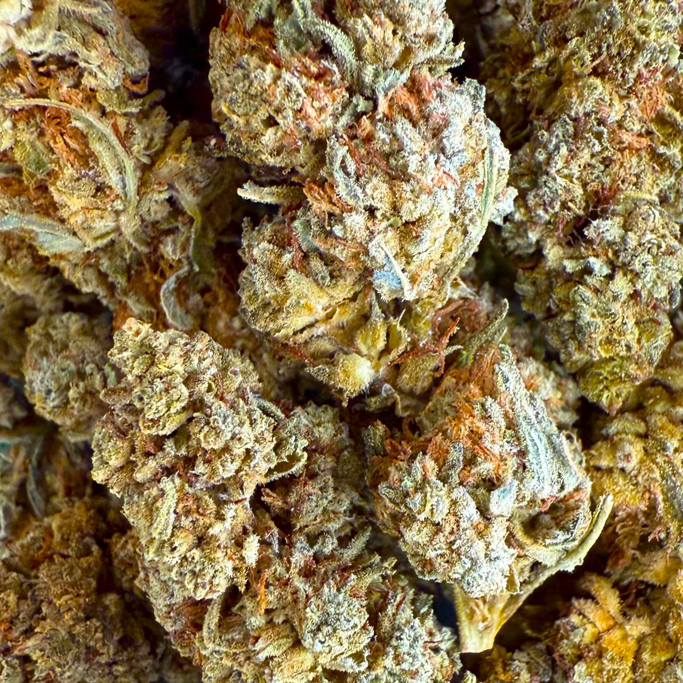 White Widow 15% CBD - Sans THC - Indoor - Cdelafrappe